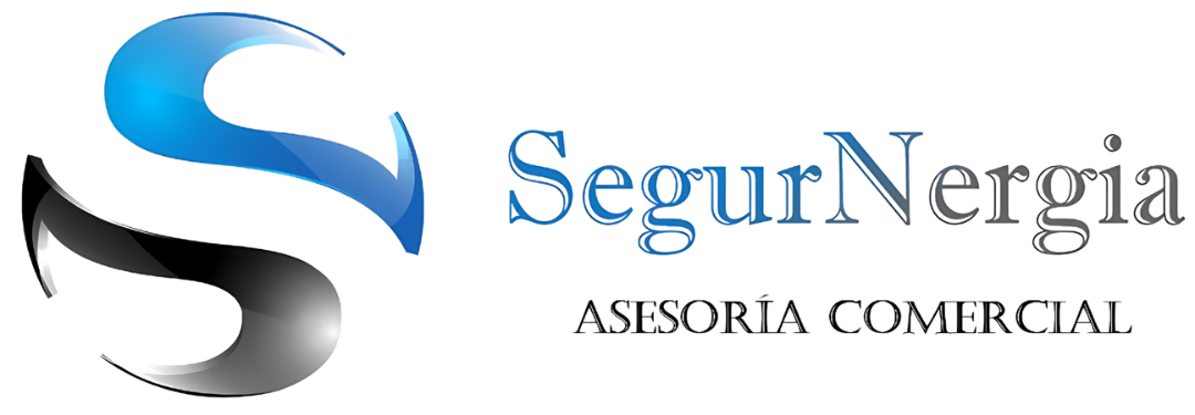 logo segurnergia
